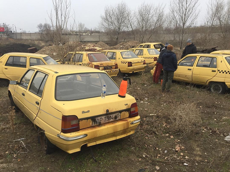 В Запорожской области обнаружили "кладбище" желтых такси ЗАЗ (фото)