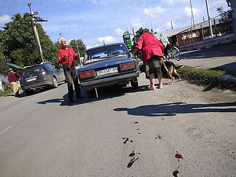 На Винничине собаку привязали цепью к такси и тащили через весь город. Фото