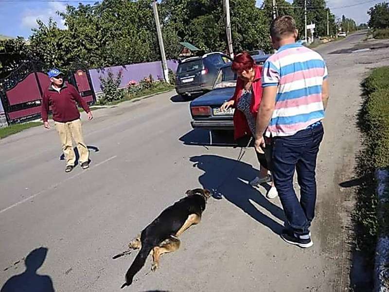 На Винничине собаку привязали цепью к такси и тащили через весь город. Фото